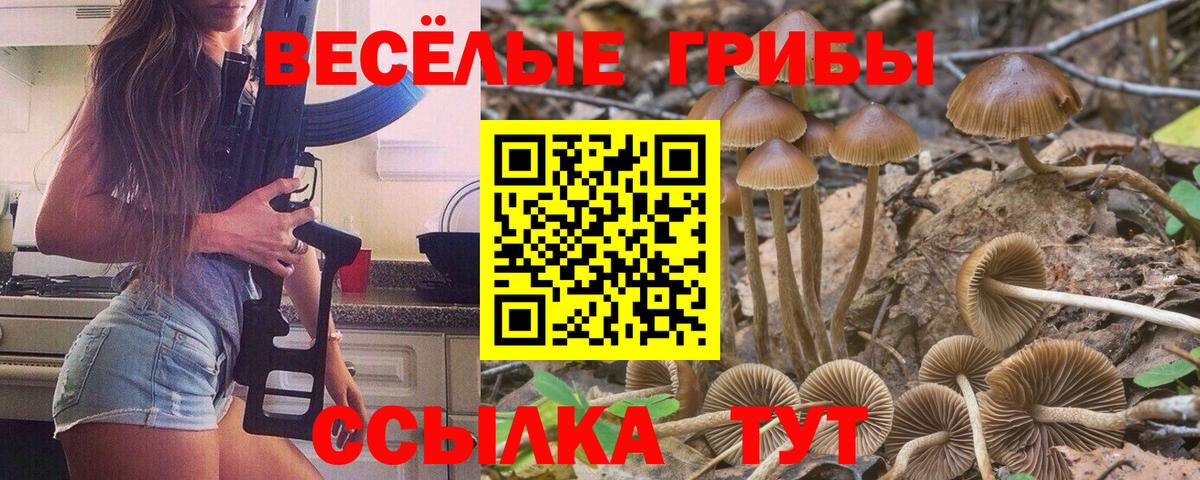 Псилоцибиновые грибы ЛСД Калач-на-Дону