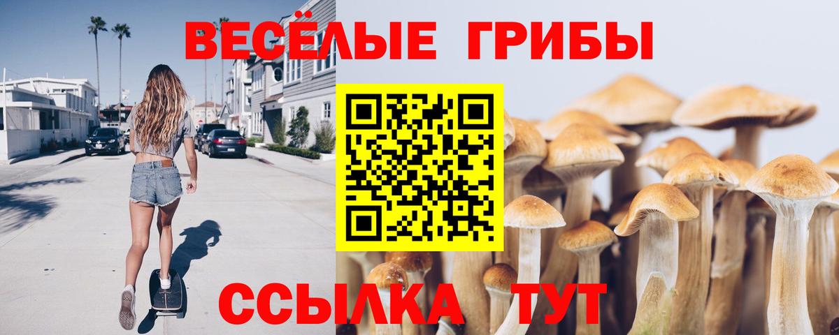 Галлюциногенные грибы прущие грибы  Вход с VPN  Калач-на-Дону 